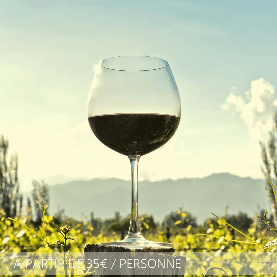 DÃ©gustation vin du luberon vin de provence vin cÃ´te du rhone vin Ã  domicile